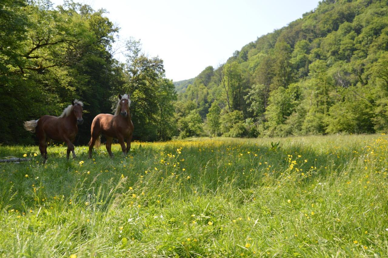 Moulin De La Cuse - L'Ilote Bed and Breakfast Cusance Εξωτερικό φωτογραφία